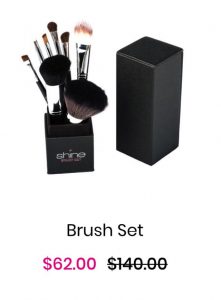 Shine Cosmetics Brush Set